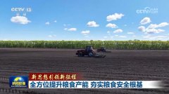 一系列主要批示？